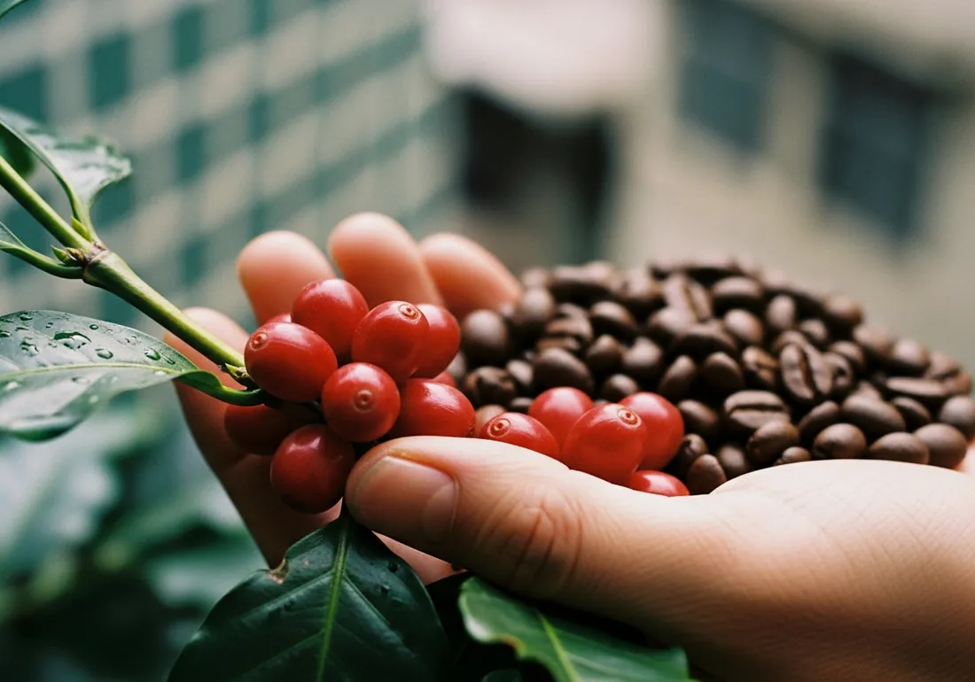 咖啡 Seed to Cup 計劃